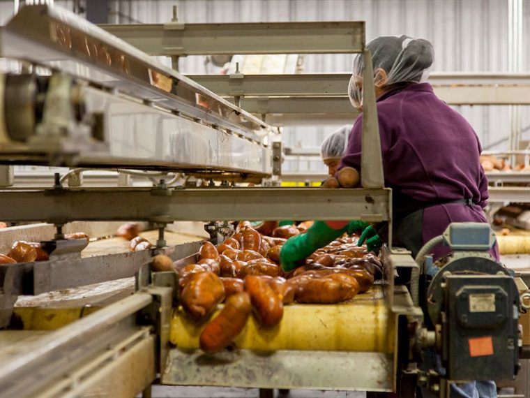 Hygienic stainless-steel conveyor line in a food processing plant