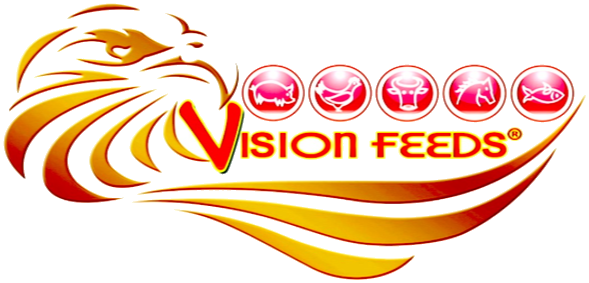 Vision 2000 Feedmills Corporation (Vision Feeds)