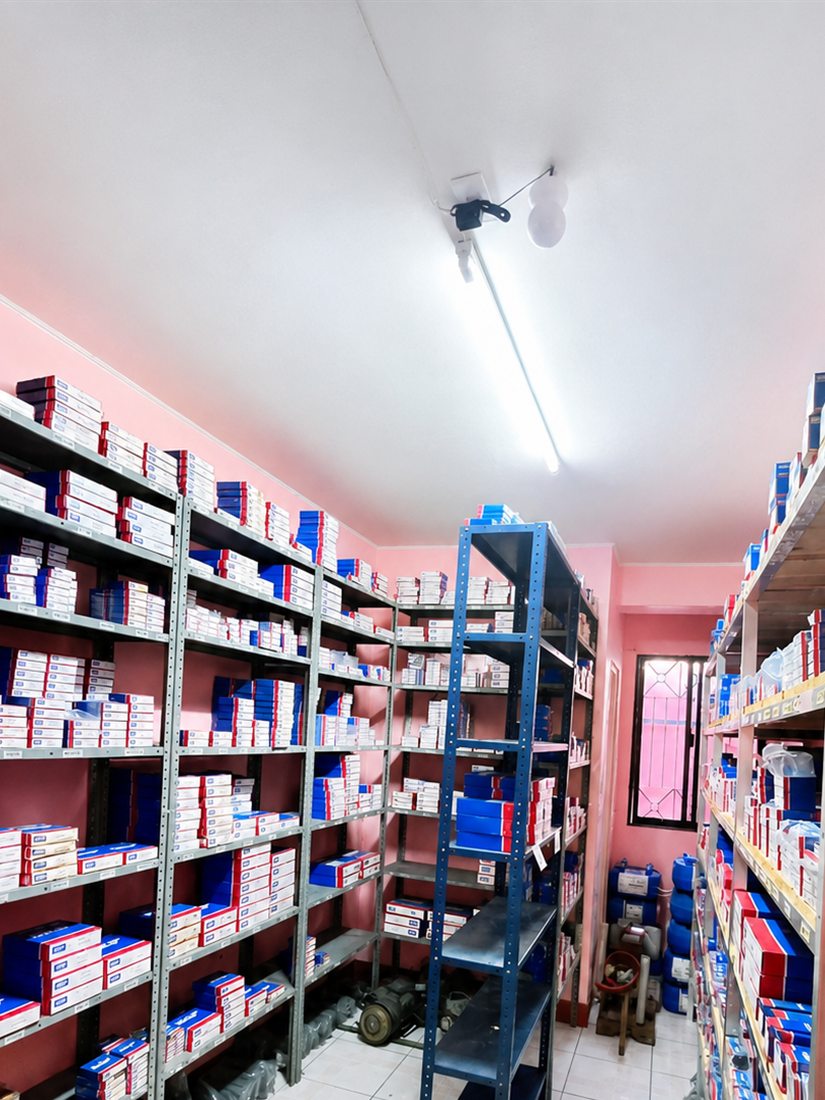 Stockroom shelves lined with boxed SKF and bearing inventory at RLR in Lipa City